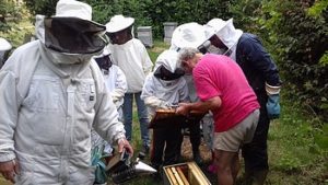 Lire la suite à propos de l’article 1-07-2017 apiculture en famille