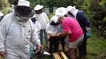 You are currently viewing 1-07-2017 apiculture en famille