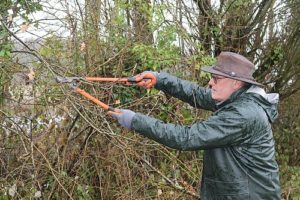 Lire la suite à propos de l’article Création de la section jardinage